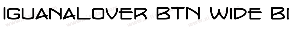 IguanaLover BTN Wide Bd字体转换
